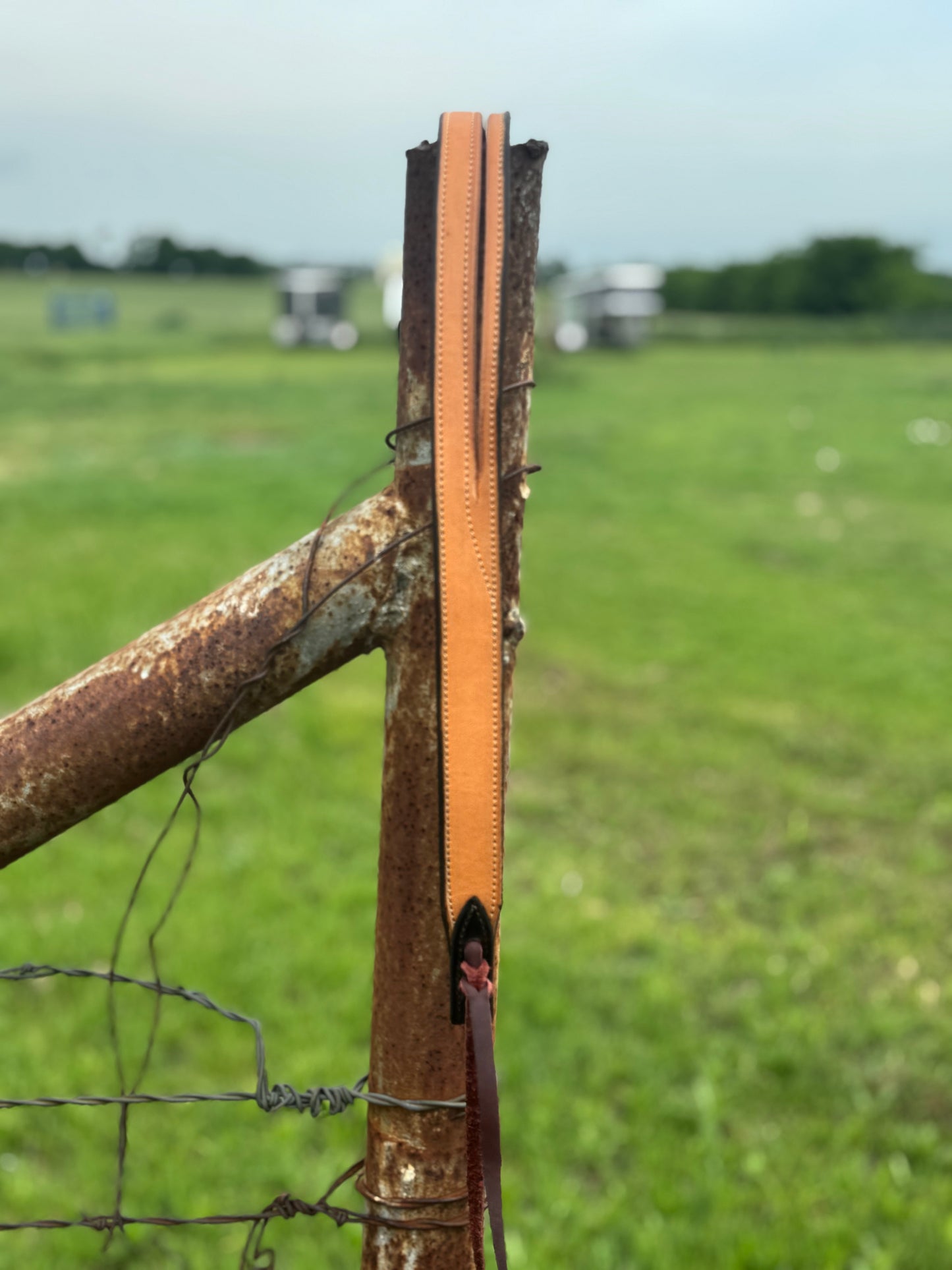 Split Ear Headstall/smooth