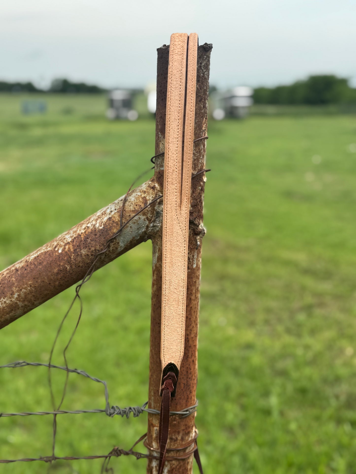 Split Ear Headstall/rough out