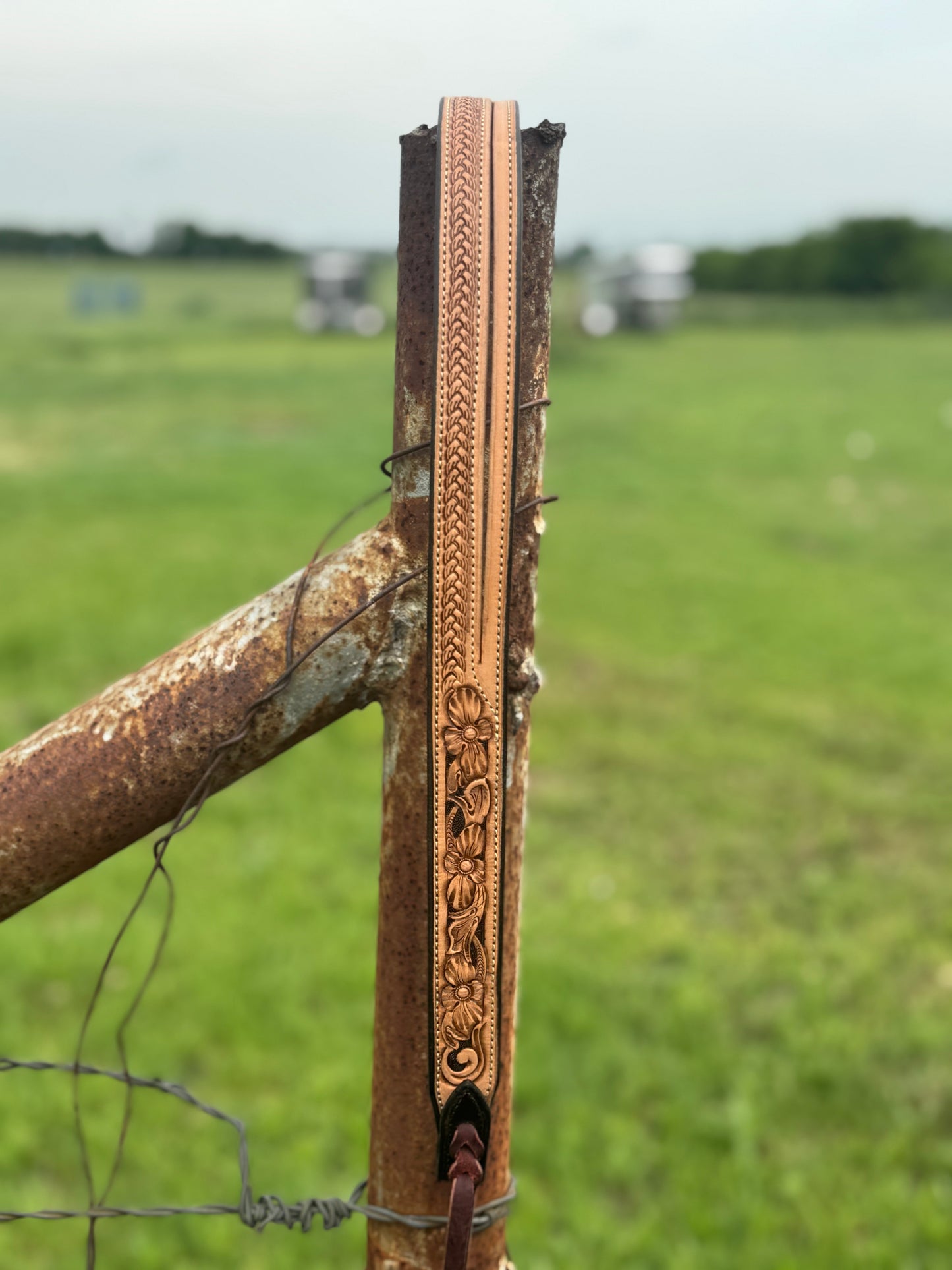 Tooled Split Ear Headstall/Chocolate Background