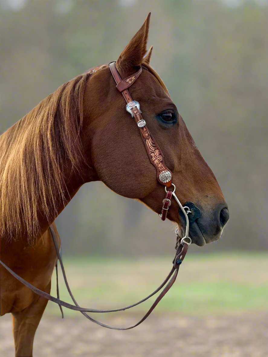 Tooled Slide Ear Headstall