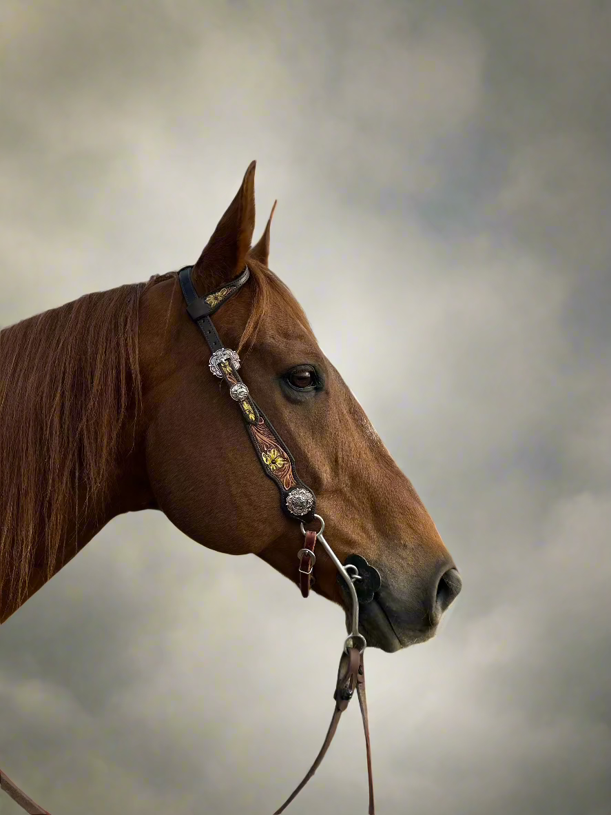 Tooled Slide Ear Headstall